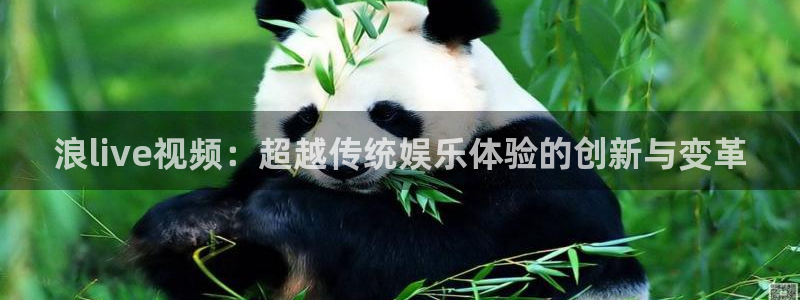 无限星辰影院