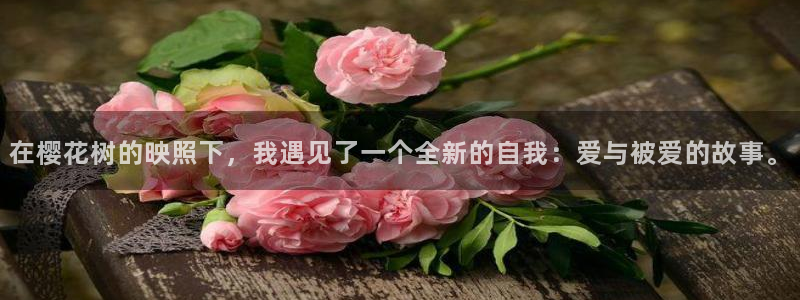 星空电影网站