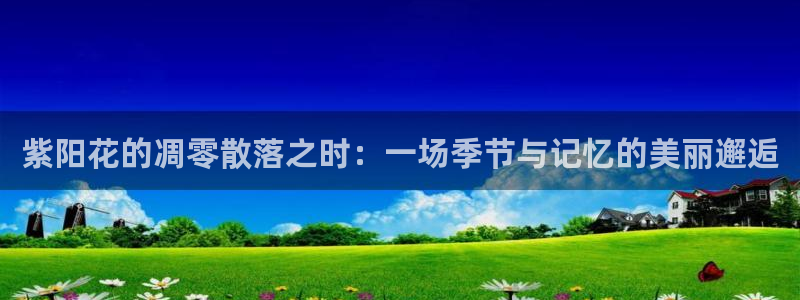 亚洲一区二区星空传媒影院