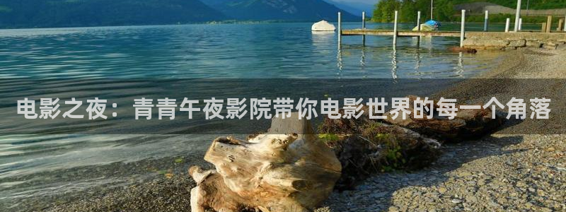 星辰影院在线观