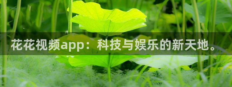 星空免费观看高清