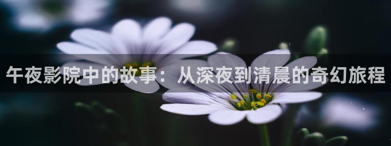 星空影视怎么下载