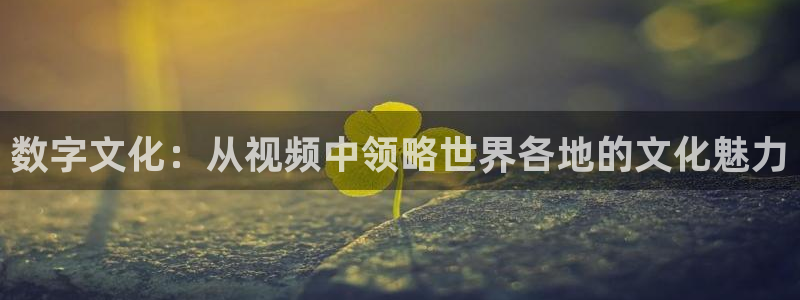 在线观看星空传媒