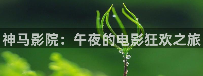星空影视官网下载