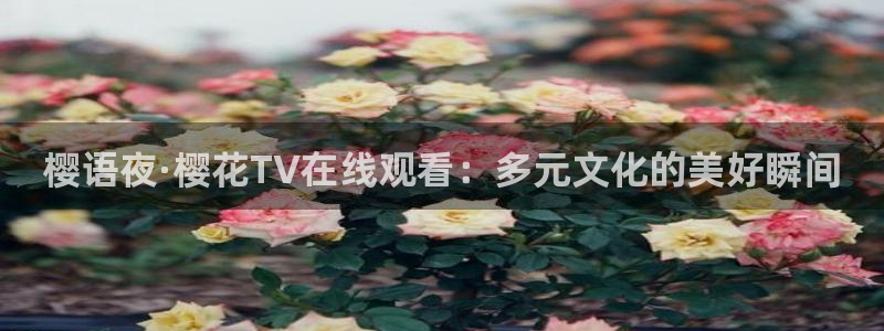 星空影视在线观看全集免费高清