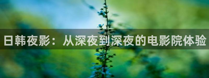 一念永恒星辰影院