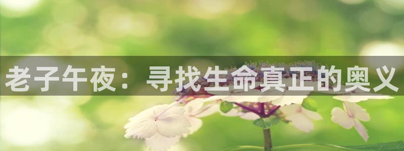 四喜免费观看星辰影院