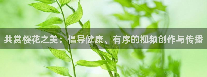 星辰影院免费观看在线高清下载