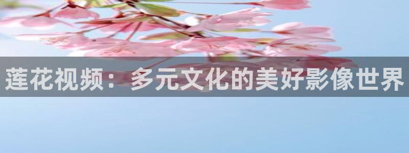 星空影视无限传媒
