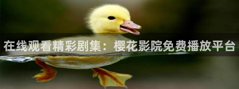 星空星辰影院免费观看电影