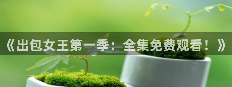星空影视新版