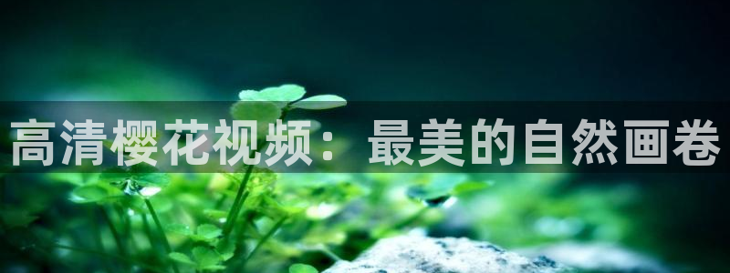 星辰影院动漫下载