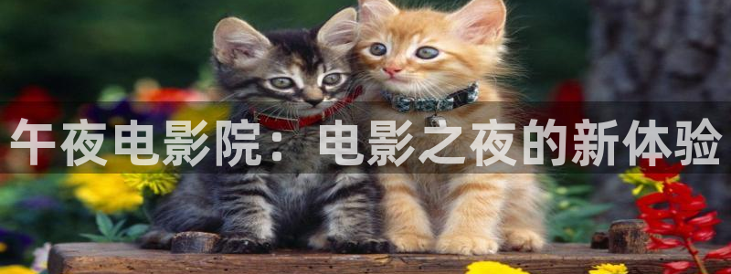星空影视电视剧