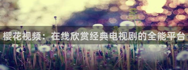 星空影视电视剧免费播放