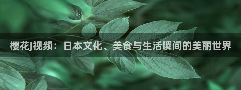 星辰影院策驰影院星辰影院