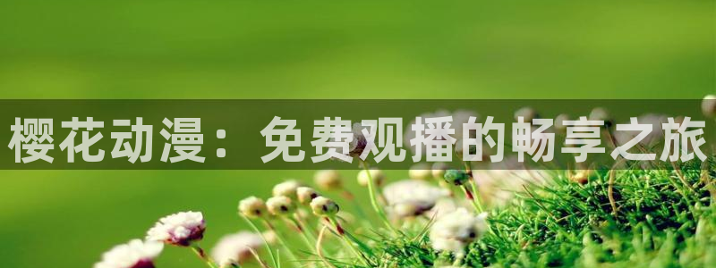 星空影视电视剧免费观看